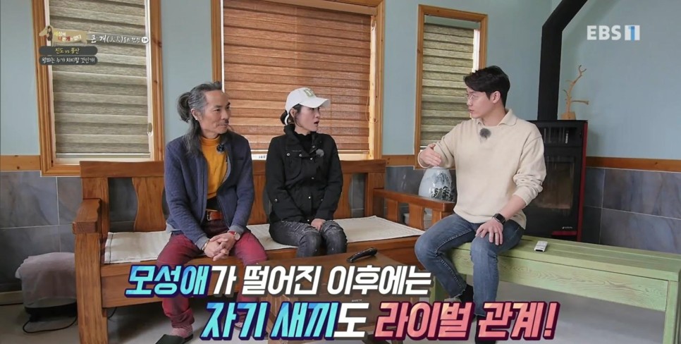 풍산개의치열한 혈투와 전쟁 - EBS 세상에 나쁜 개는 36