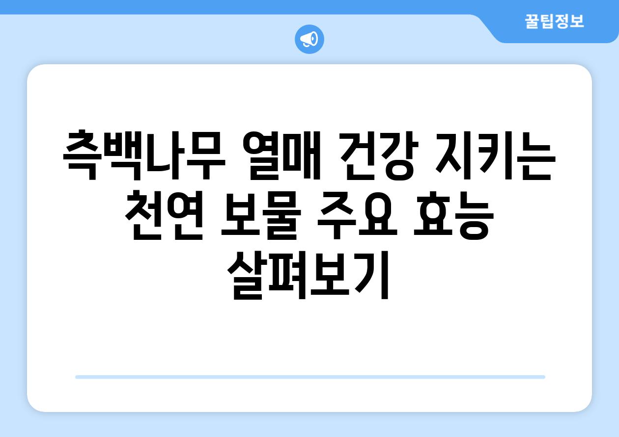 측백나무 열매 건강 지키는 천연 보물 주요 효능 살펴보기