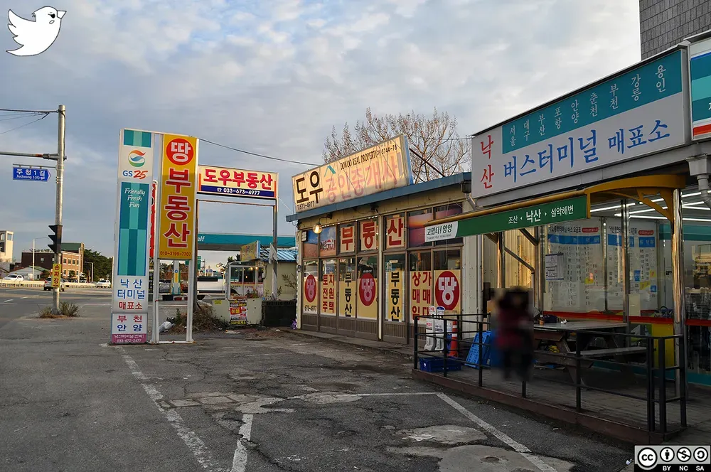 낙산 시외버스터미널 시간표 예매 예약_1