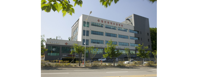 고양 일산동구 요양병원 추천 유명한 곳 | 비용 가격 후기 잘하는 곳 등급 요양원 요양급여 치매 암환자 루게릭 -
일산현대요양병원
고양 일산동구 요양병원