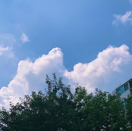  [석사에 대해] 공대생은 학사 졸업 후에 석사를 꼭 해야할까요? / 석사가 필요한가요? 석사를 하면 좋나요?  / 석사를 하게되면 어느 전공.분