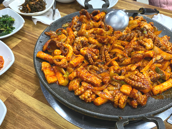 쭈꾸미와친구들 5