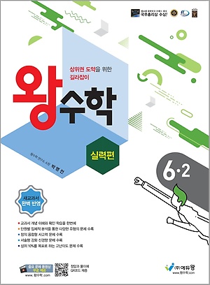 왕수학 실력편 6-2 정답및해설