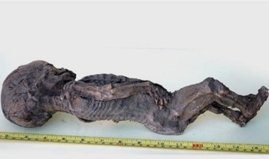 이란의 사막에서 무려 크기 25cm '초소형 미라'가 발겼되었는데..