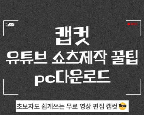 캡컷