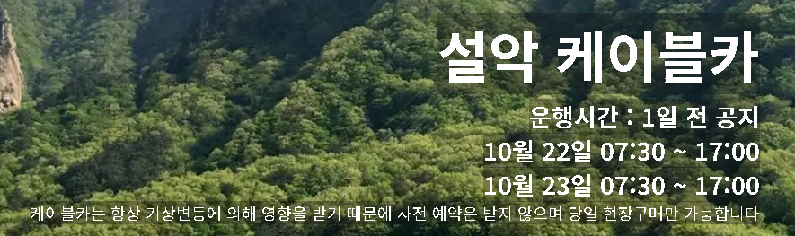 설악산 케이블카 예약 이용요금 운영시간 예매방법 할인요금