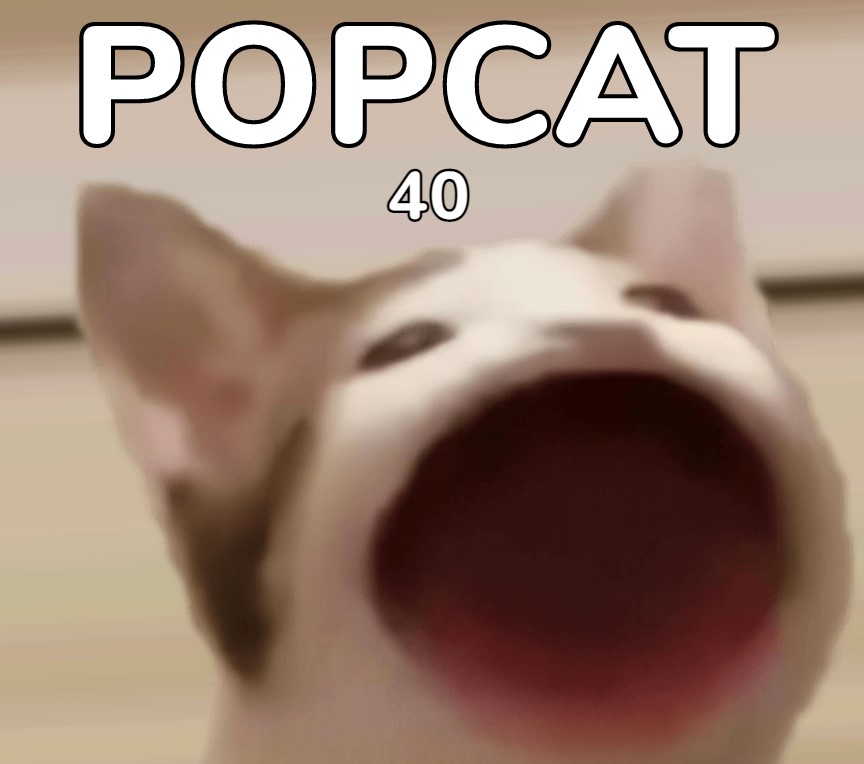 팝켓-popcat