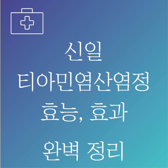 신일티아민염산염정