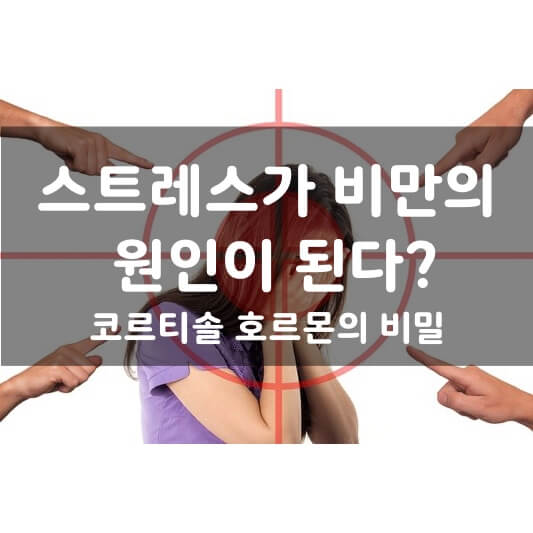  스트레스가 비만의 원인이 된다? 코르티솔(코티솔) 호르몬의 비밀