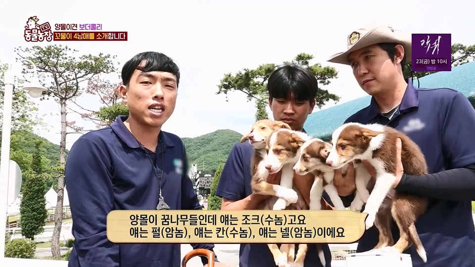 TV 동물농장.E1125.230618p.H264-F1RST.mp4_20230618_192059.975.jpg