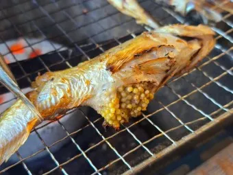 양미리 조림 레시피 및 맛있게 만드는 법_12