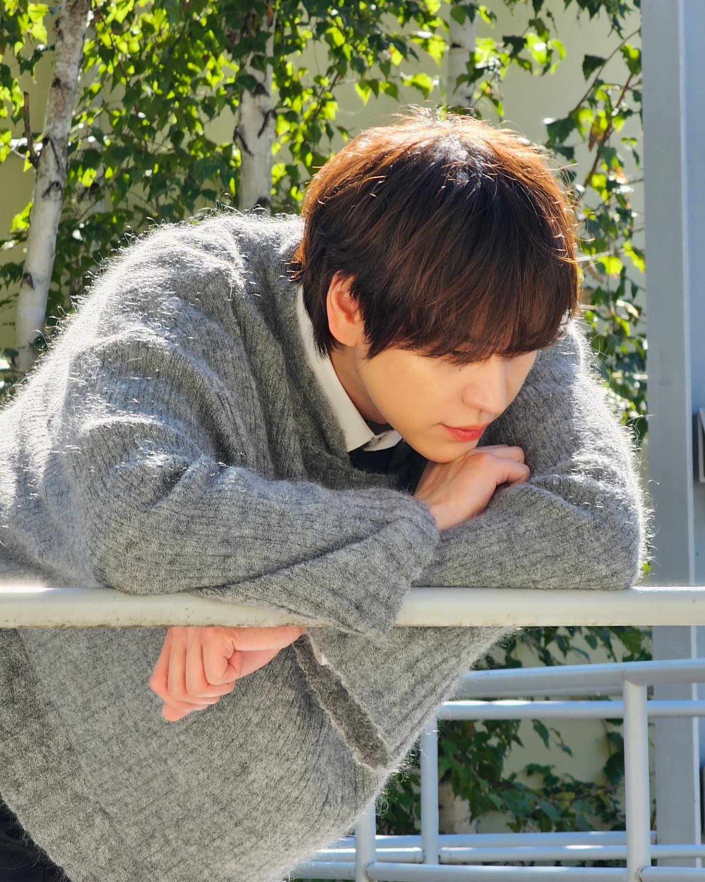 241204_캄니스비하인드