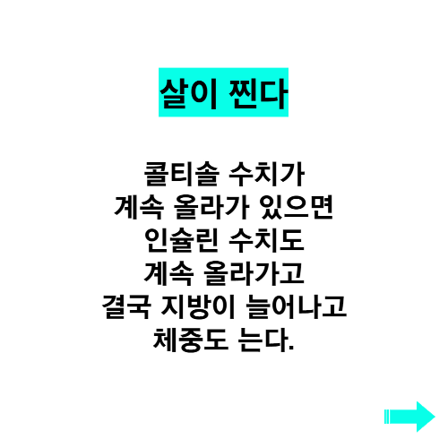 칼로리가 전혀 없는데 살찌게 만드는 것?