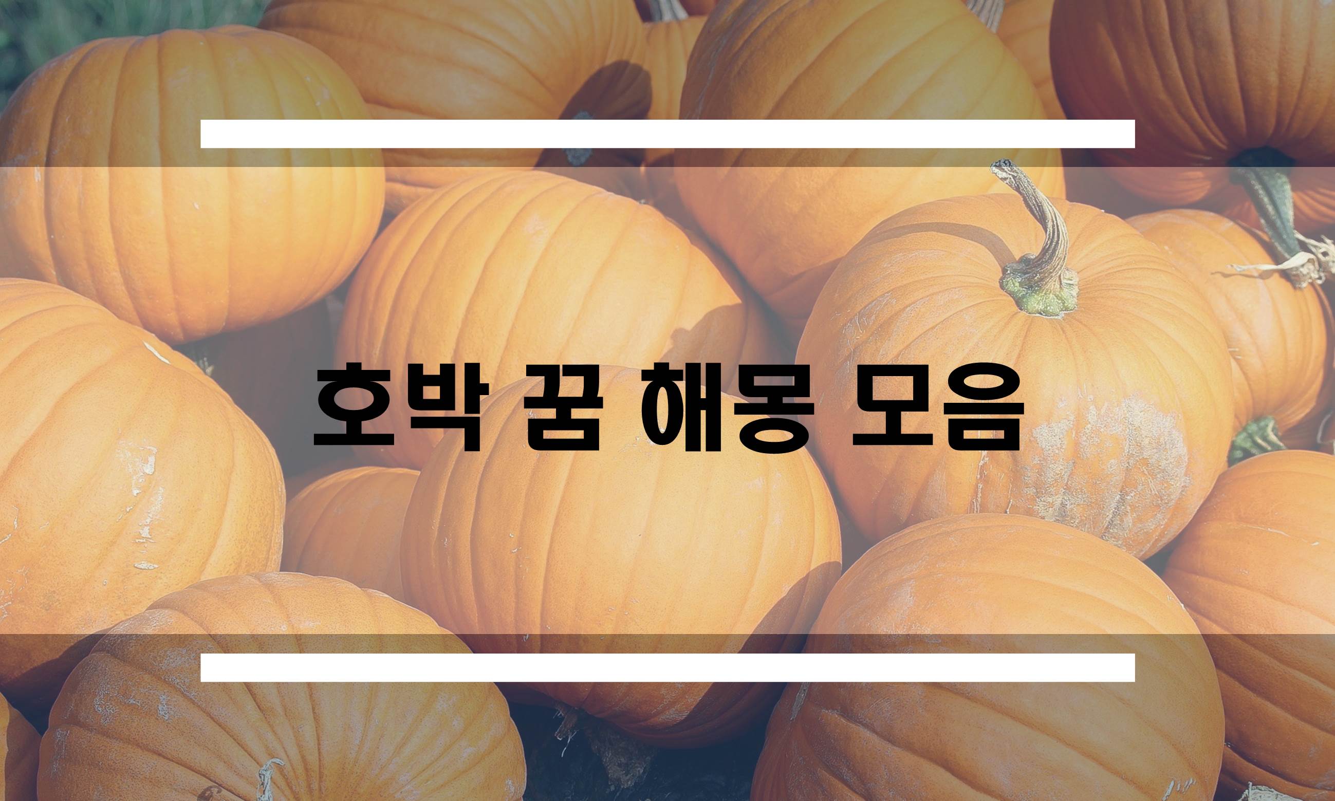  호박꿈 해몽 모음
