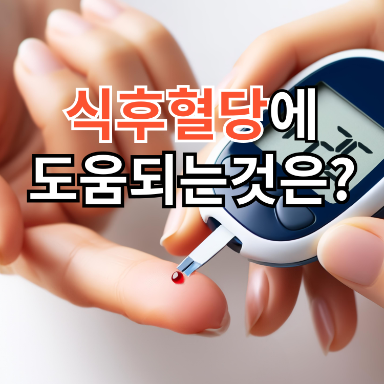 식후혈당_상승억제_도움되는방법