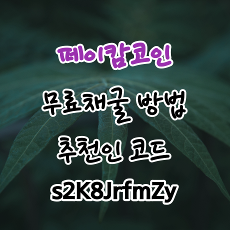  페이캄코인(PAYCAM Wallet) 추천인 s2K8JrfmZy 무료채굴 방법