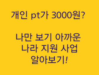  개인 pt가 3000원? pt 싸게 받을 수 있는 방법 '청년신체건강증진서비스 신청방법'