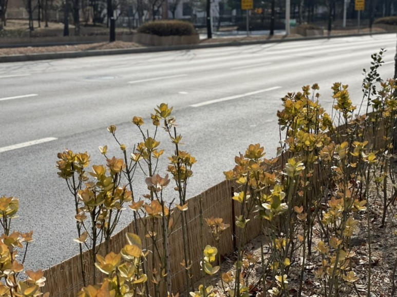 실비보험 갈아타기 육아일기 26