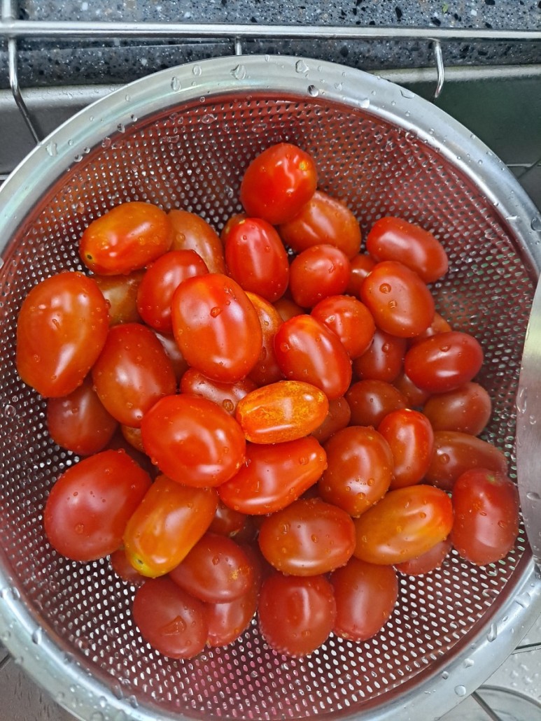 방사선기록 / 17