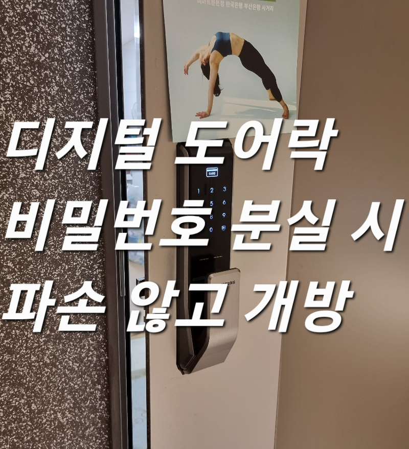 삼성 푸시풀 도어락 SHP-P 710 비밀번호 분실&#44; 오류로 잠겼을 때 파손하지 않고 손상 없이 열어드렸어요