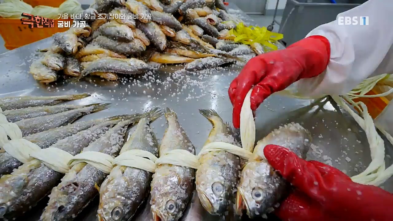 TV - 교육의 중심 EBS가을 바다 황금 조기잡이와 굴비 가공.mp4_20221122_195443.242.jpg