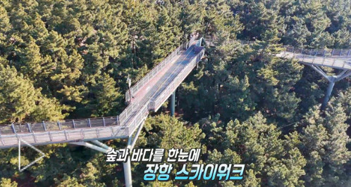 생방송투데이 정보