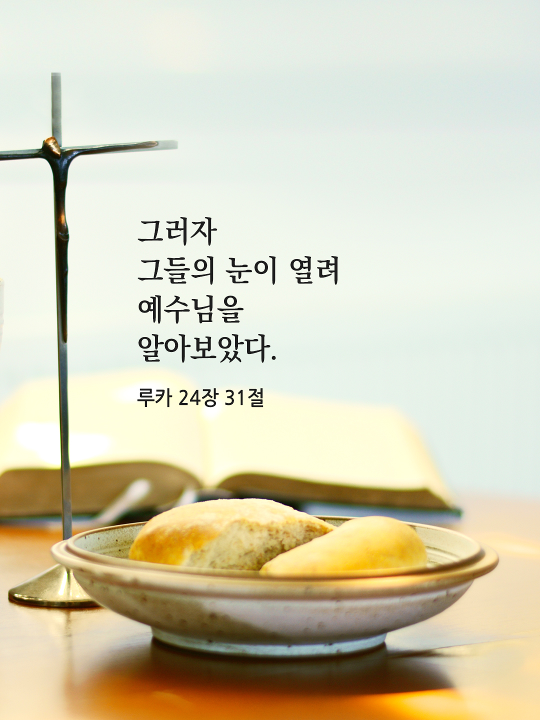 그러자 그들의 눈이 열려 예수님을 알아보았다. (루카 24&#44;31)