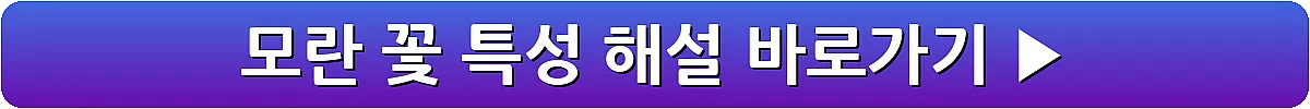 모란 꽃 특성 해설_1