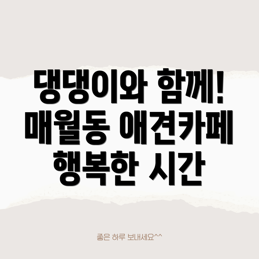 광주 매월동 애견동반 카페