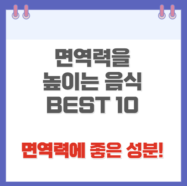 면역력을 높이는 음식 BEST10