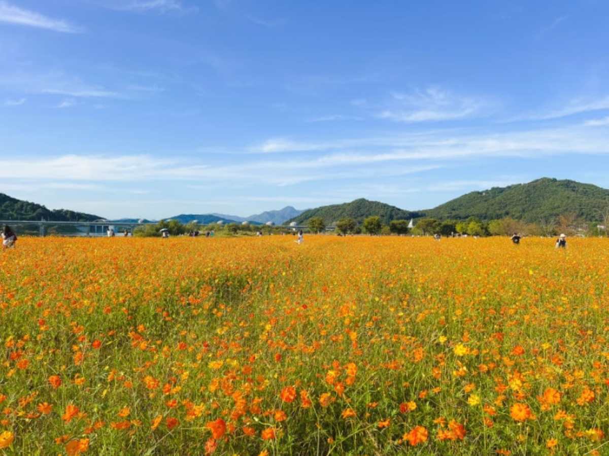 당남리섬