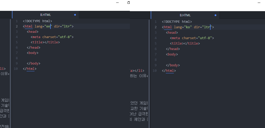 html lang 태그 수정