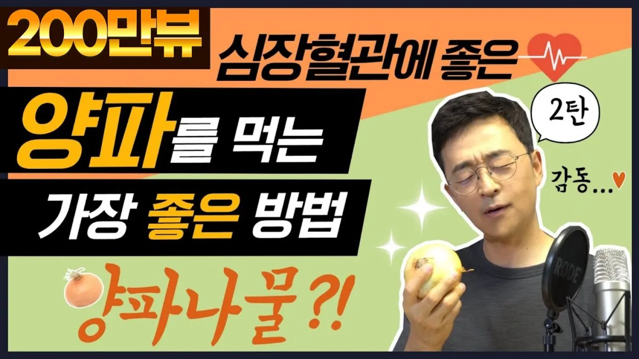 양파 먹는 방법과 양파 효능 양파 부작용 완전 가이드_6