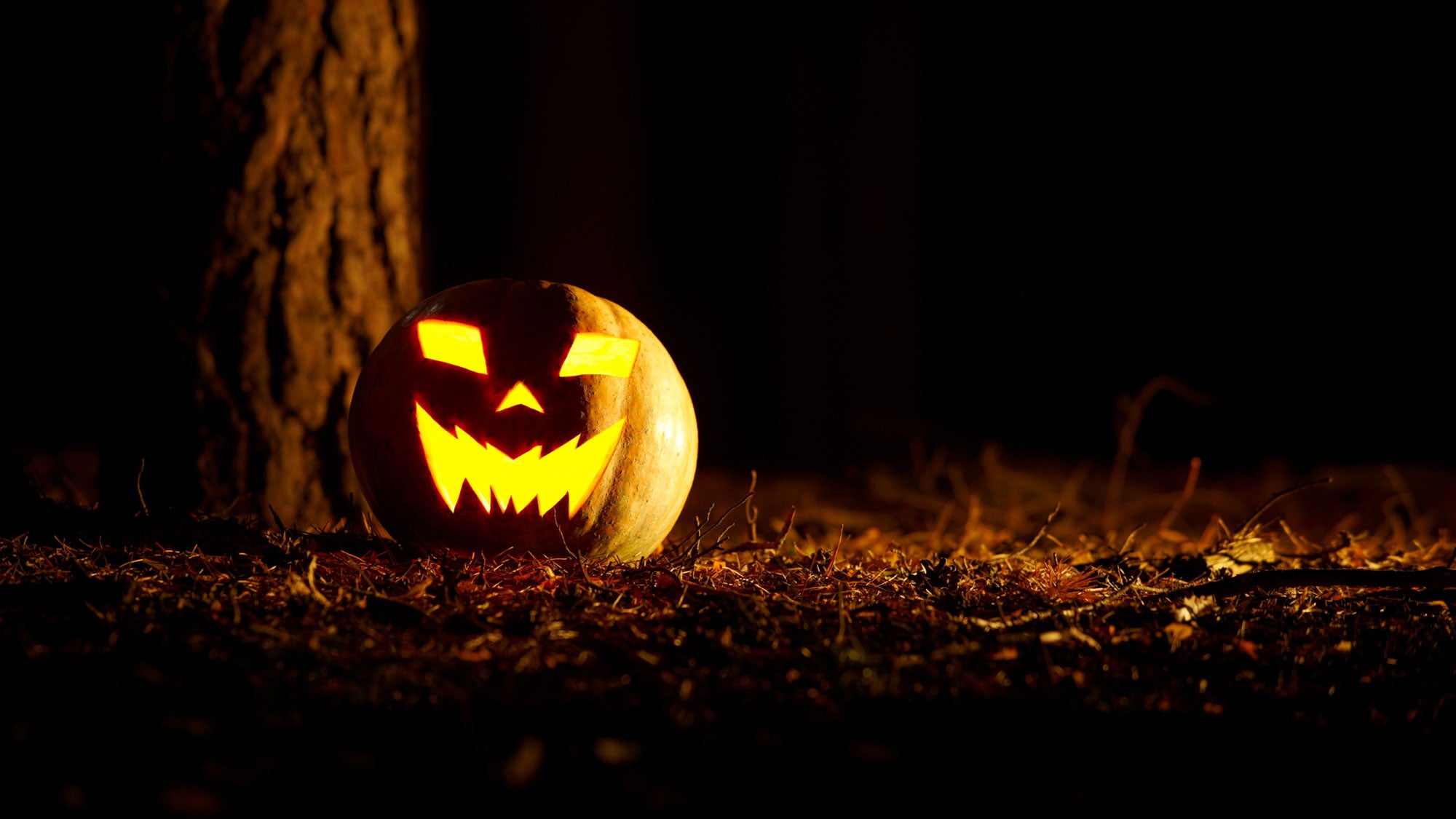 잭오랜턴 Jack-O'-Lanterns