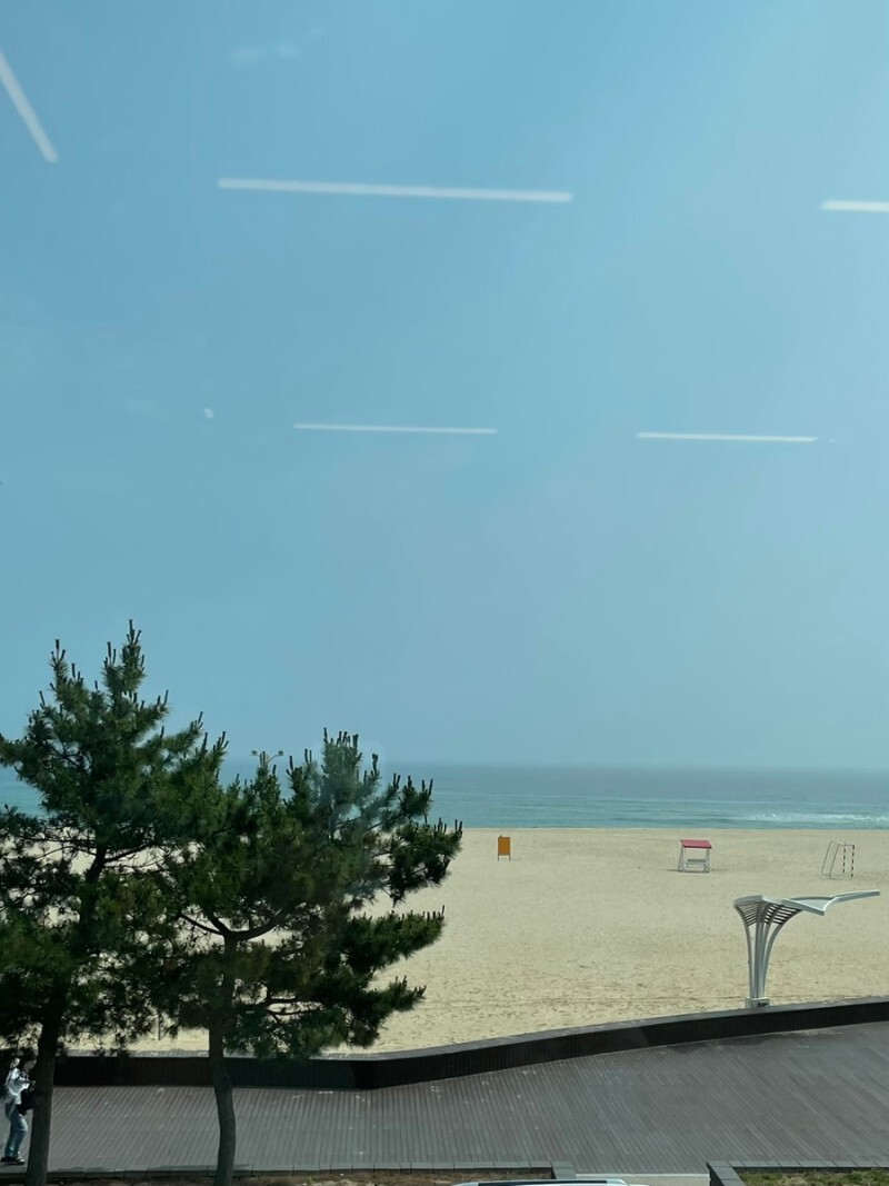 동해 오션뷰 카페