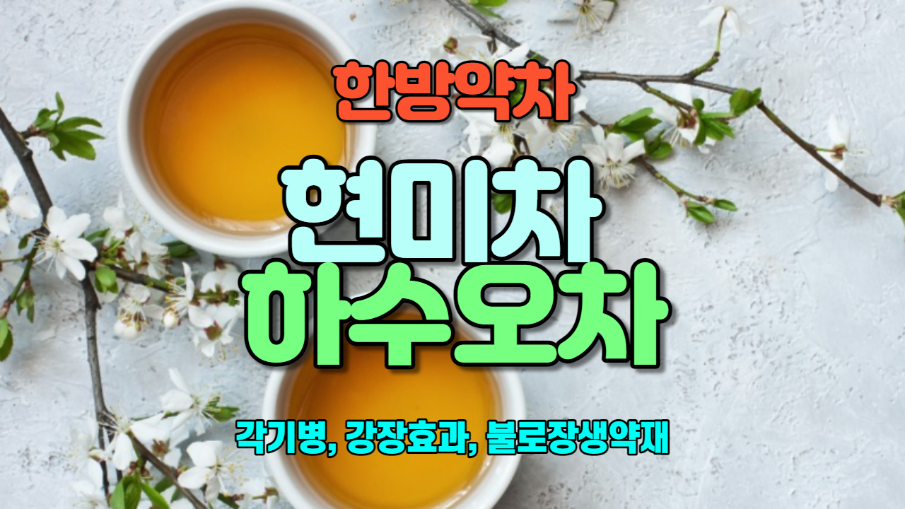  현미차 / 하수오차