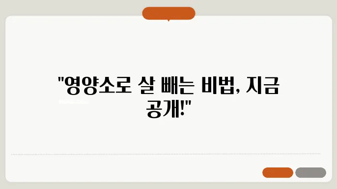 다이어트 식단에서 중요한 3대 영양소의 역할