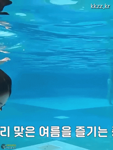 img.gif