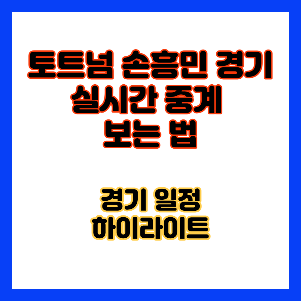 손흥민경기