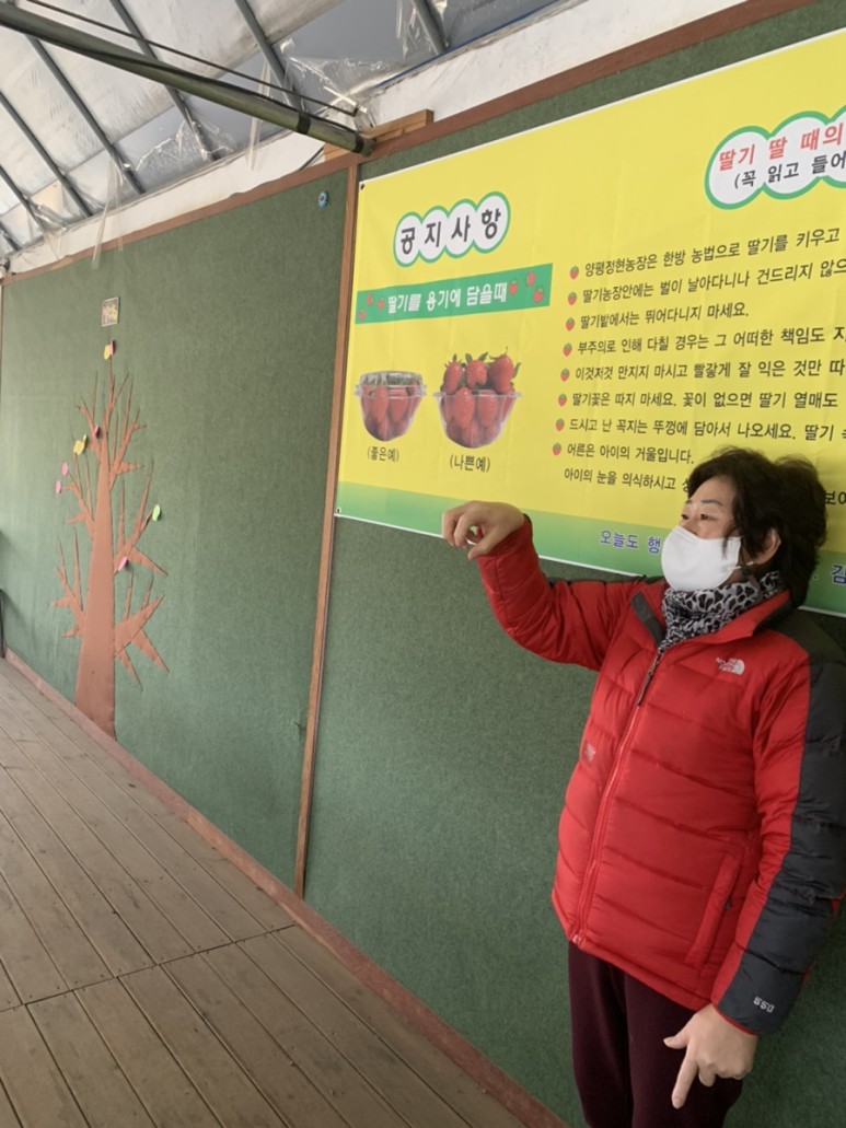 정현딸기농장, 26