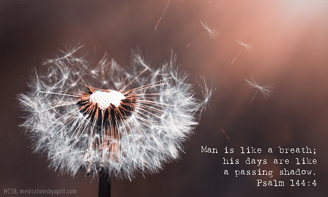  나의 반석이신 여호와(시144:1-15)