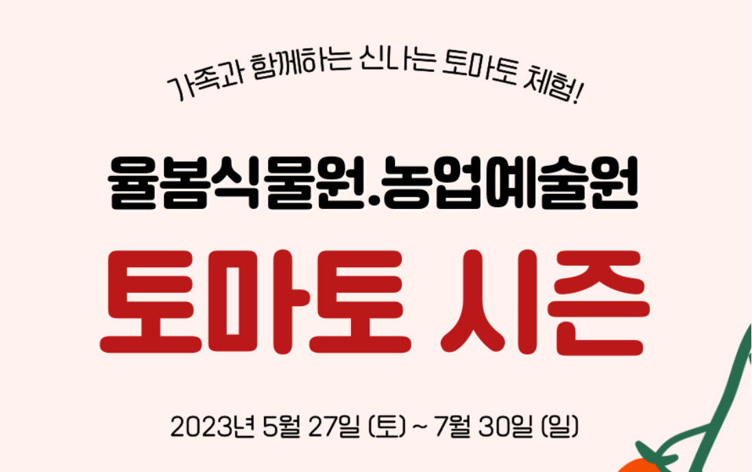  율봄식물원 토마토 시즌 : 가족과 함께하는 신나는 토마토 체험
