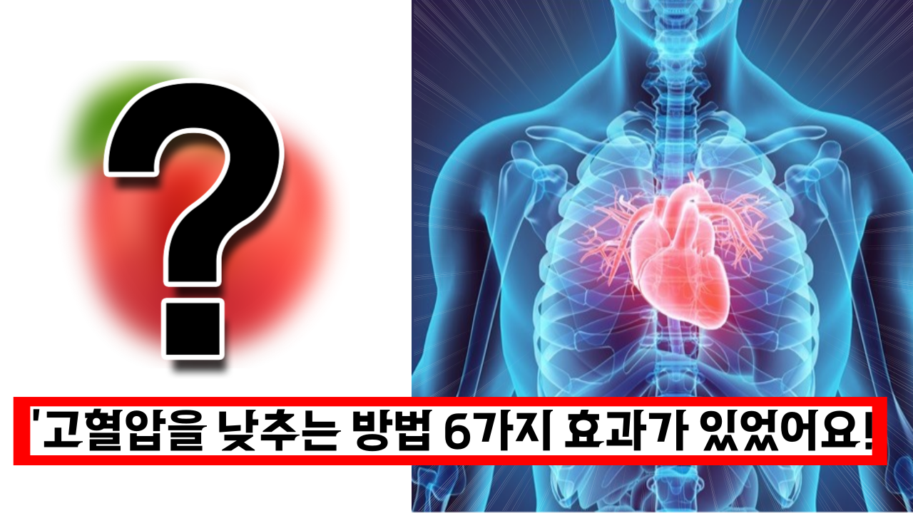  '고혈압을 낮추는 방법 6가지 효과가 있었어요!