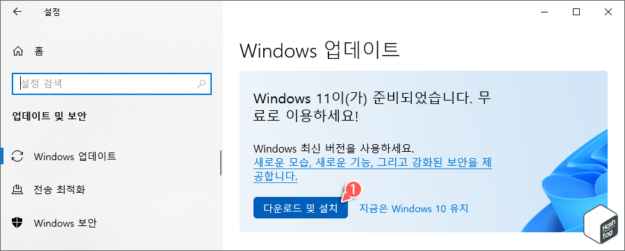 Windows 11 &gt; 다운로드 및 설치