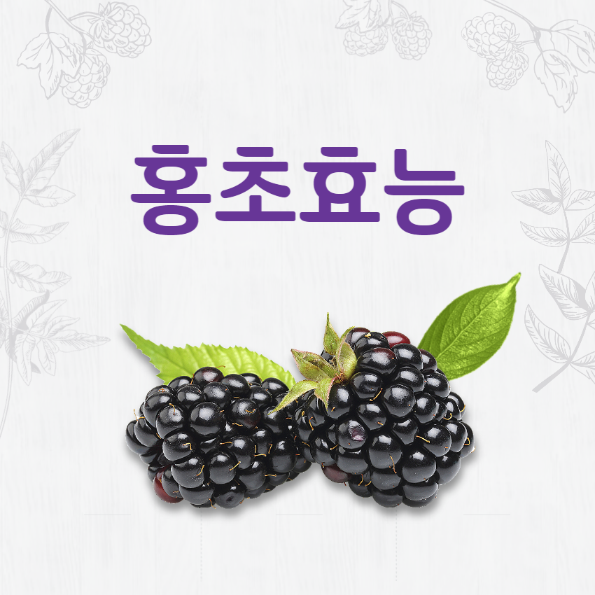 홍초효능