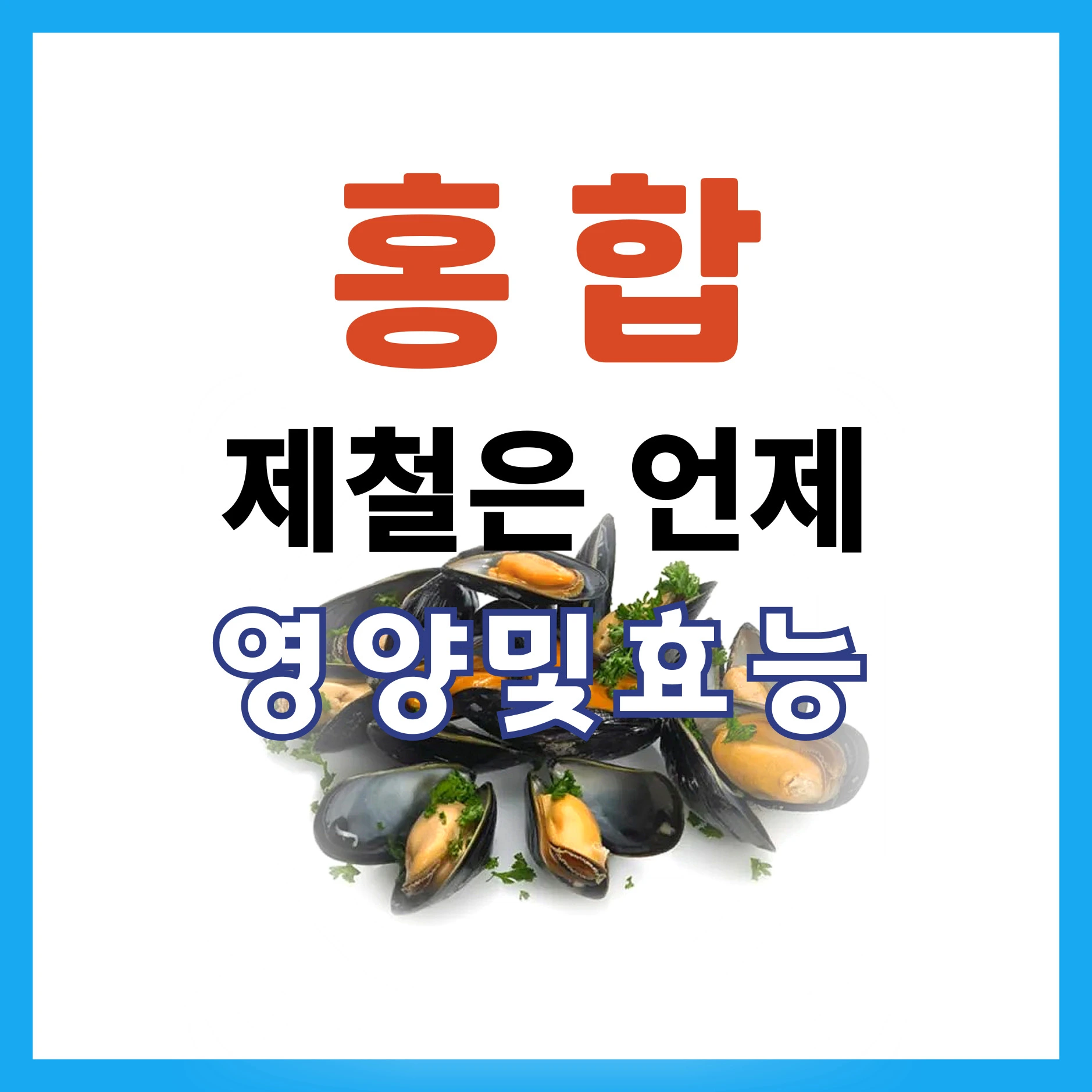 홍합제철시기
