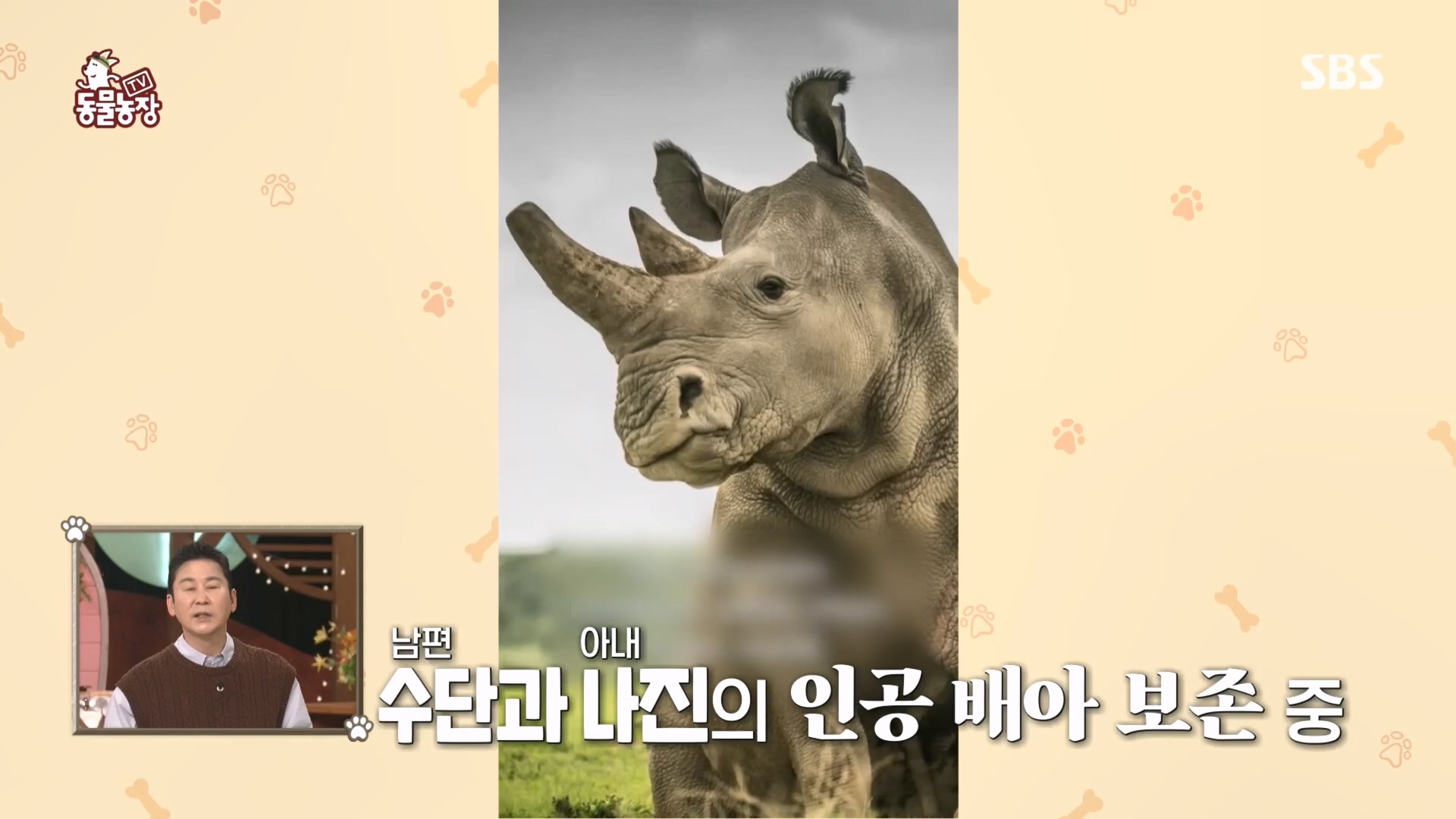 TV 동물농장.E1160.240225p.H264-F1RST.mp4_20240225_162719.266.jpg