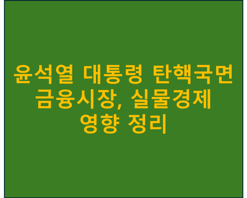 윤석열 대통령 탄핵국면 금융시장, 실물경제 영향 정리