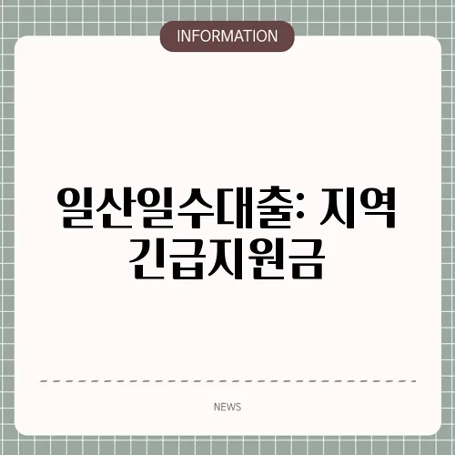 일산일수대출: 지역 긴급지원금