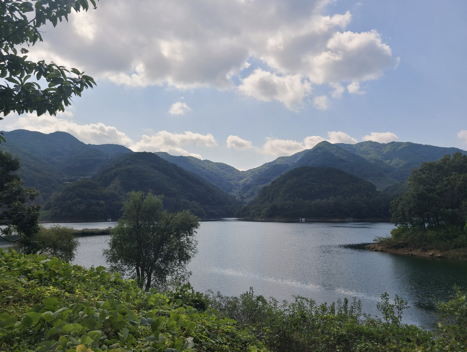  [충주]충주호를 따라 자연 그대로의 숲을 걷는 종댕이길